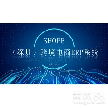 跨境电商无货源铺货ERP软件定制贴牌独立部署