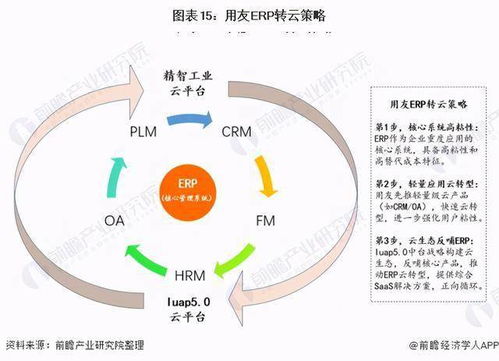 预见2021 2021中国ERP软件产业全景图谱